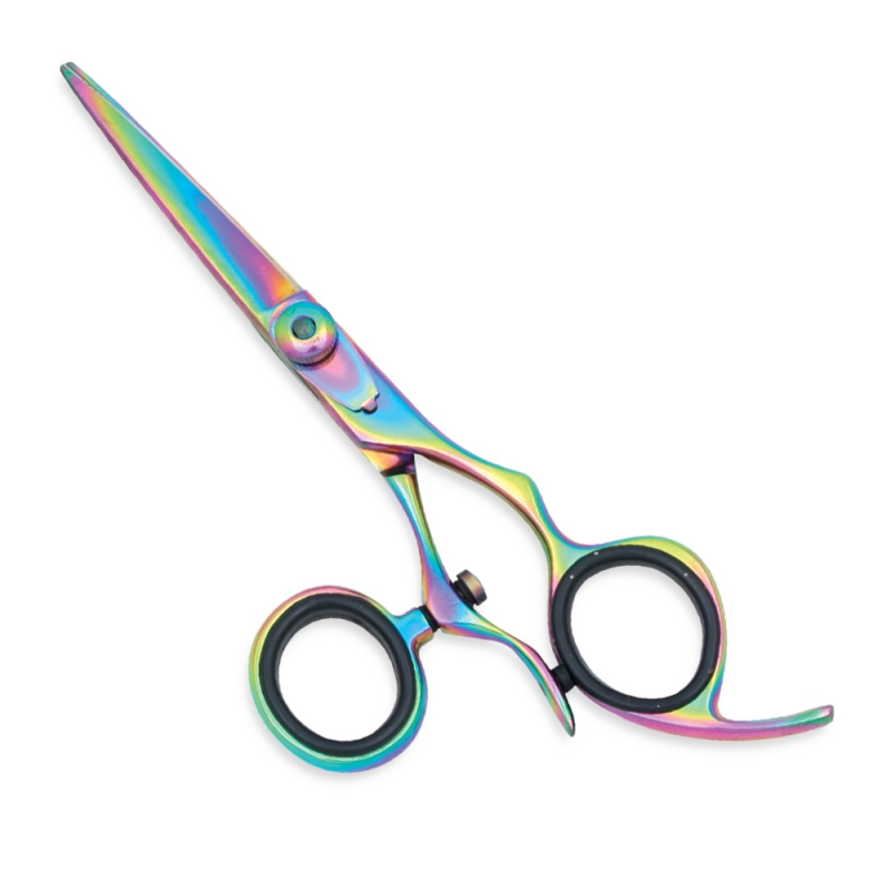 Professional Hair Cutting Scissors